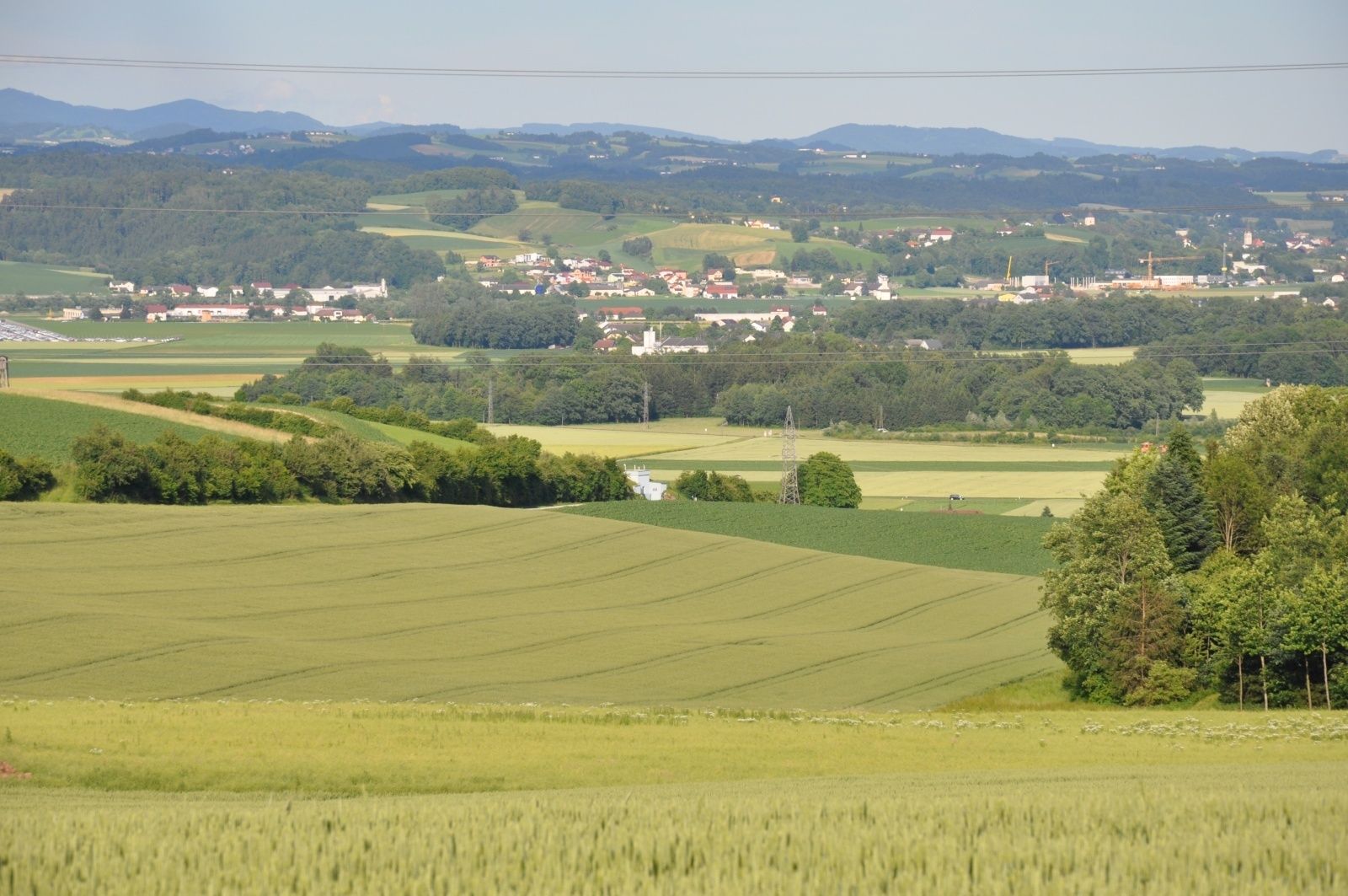Ausschuss für Rechts- und Wirtschaftspolitik.jpg © LK OÖ