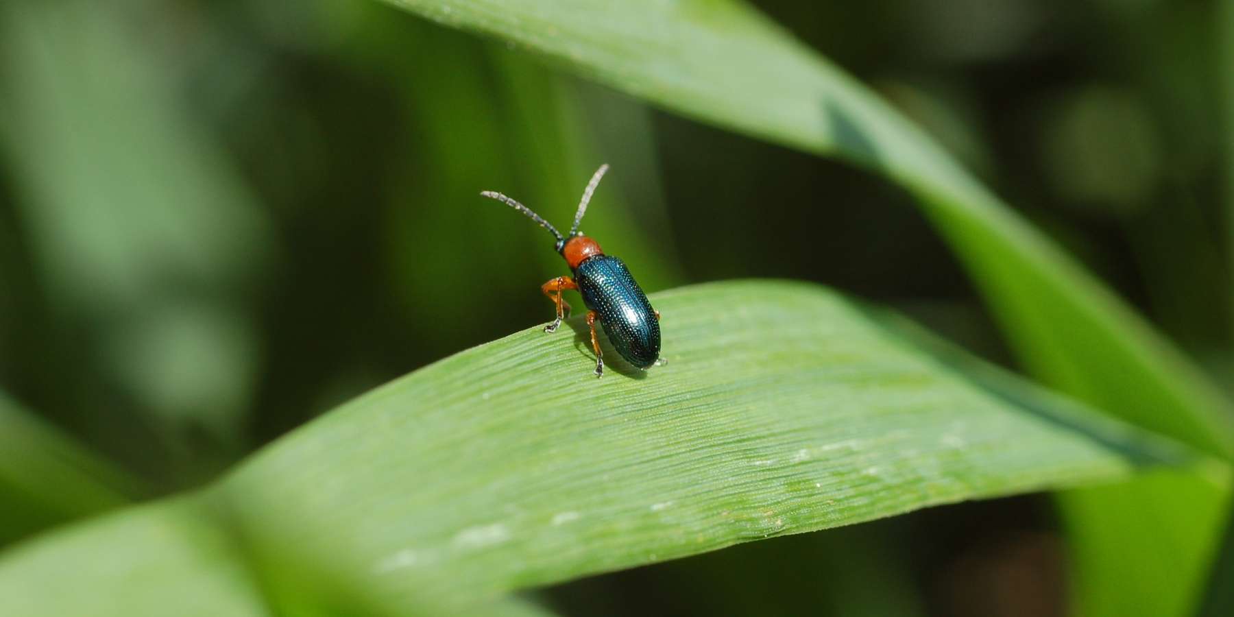 © LK NÖ/Harald Schally © LK NÖ/Harald Schally