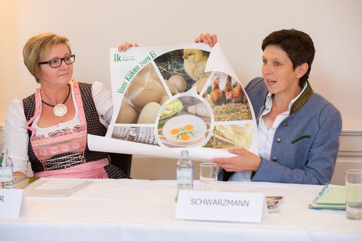 Andrea Schwarzmann Bundesbäuerin
und Bio-Eierproduzentin Monika Hafenscher (li) beim Pressegespräch in Wien zum Auftakt der Bäuerinnenaktionstage 2018. © AMA/APA/Juhasz Andrea Schwarzmann Bundesbäuerin
und Bio-Eierproduzentin Monika Hafenscher (li) beim Pressegespräch in Wien zum Auftakt der Bäuerinnenaktionstage 2018. © AMA/APA/Juhasz