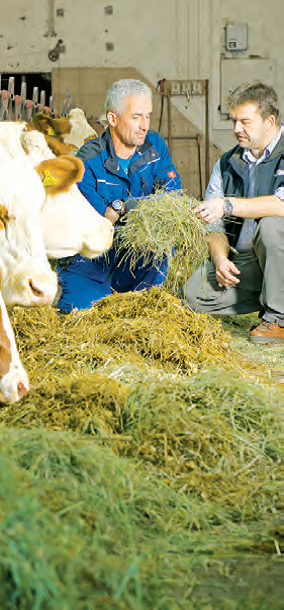Eine Futteranalyse liefert wertvolle Daten zur Futterbeurteilung und gezielten Ergänzung der Ration. © Riebler Eine Futteranalyse liefert wertvolle Daten zur Futterbeurteilung und gezielten Ergänzung der Ration. © Riebler