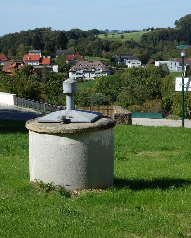 Der Wiesensamen ist rasch aufgegangen. Nichts erinnert mehr an die Baustelle, die gerade einmal einen Monat zurückliegt. © Füreder-Kitzmüller