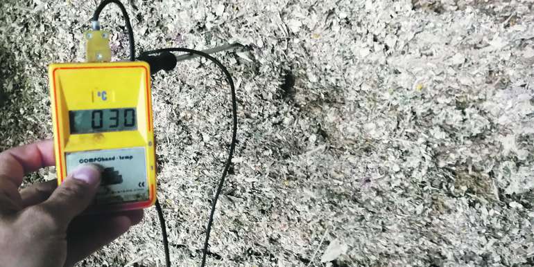 Die Temperatur der Silage soll unter 20 °C liegen. Ein Kompostthermometer eignet sich zum Überwachen der Temperatur. © LK NÖ/Gerald Stögmüller Die Temperatur der Silage soll unter 20 °C liegen. Ein Kompostthermometer eignet sich zum Überwachen der Temperatur. © LK NÖ/Gerald Stögmüller