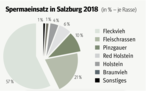 BEI DER BESAMUNG mit einer Fleischrasse konnte ein starker Zuwachs verzeichnet werden. Vermehrt finden Fleischrassen auch Einsatz bei Milchviehbetrieben. © Hauer BEI DER BESAMUNG mit einer Fleischrasse konnte ein starker Zuwachs verzeichnet werden. Vermehrt finden Fleischrassen auch Einsatz bei Milchviehbetrieben. © Hauer
