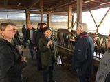 Prof. Mag. Margit Pomper, Dr. Charlotte Klement und Ing. Johannes Gstöhl beurteilen den Rinderstall der LFS Güssing © Dr. Mramor