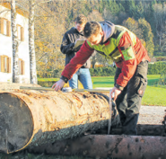 holzverkauf.png © FAST Ossiach holzverkauf.png © FAST Ossiach