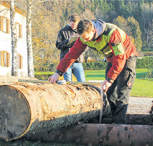 holzverkauf.png © FAST Ossiach holzverkauf.png © FAST Ossiach