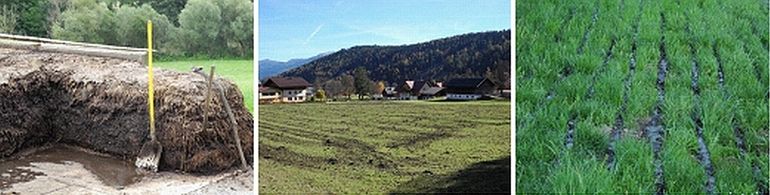 Wirtschaftsdünger sind kein lästiges Abfallprodukt der Viehhaltung, sondern wertvolle und unverzichtbare Betriebsmittel zur Nährstoffversorgung des Grünlands! Die sachgerechte Lagerung und verlustarme Ausbringung von Gülle, Stallmist, Jauche und Kompost erfordert Fachwissen und Kenntnis über die vorliegenden Standortsbedingungen und pflanzenbaulichen Zusammenhänge. © Univ.-Doz. Dr. Erich M. Pötsch und Dr. Andreas Baumgarten Wirtschaftsdünger sind kein lästiges Abfallprodukt der Viehhaltung, sondern wertvolle und unverzichtbare Betriebsmittel zur Nährstoffversorgung des Grünlands! Die sachgerechte Lagerung und verlustarme Ausbringung von Gülle, Stallmist, Jauche und Kompost erfordert Fachwissen und Kenntnis über die vorliegenden Standortsbedingungen und pflanzenbaulichen Zusammenhänge. © Univ.-Doz. Dr. Erich M. Pötsch und Dr. Andreas Baumgarten