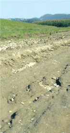 Starkniederschläge führen zu Erosion in Hanglagen. © Franz Xaver Hölzl, BWS Beratung LK Oberösterreich Starkniederschläge führen zu Erosion in Hanglagen. © Franz Xaver Hölzl, BWS Beratung LK Oberösterreich