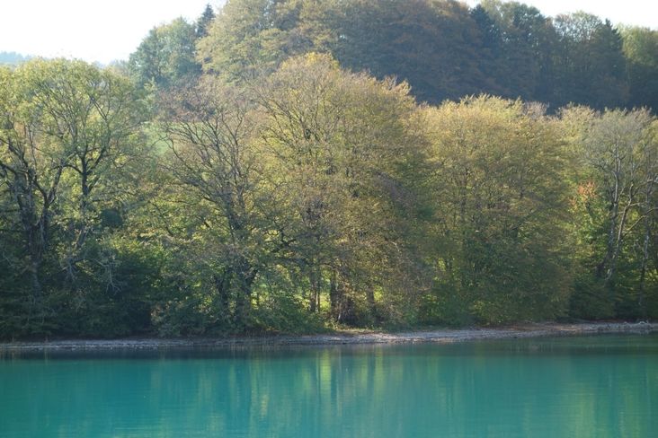 Feinste im Wasser schwebende Kalkplättchen verleihen dem Attersee sein tiefes klares Grün. © LK OÖ/Christoph Zaussinger Feinste im Wasser schwebende Kalkplättchen verleihen dem Attersee sein tiefes klares Grün. © LK OÖ/Christoph Zaussinger