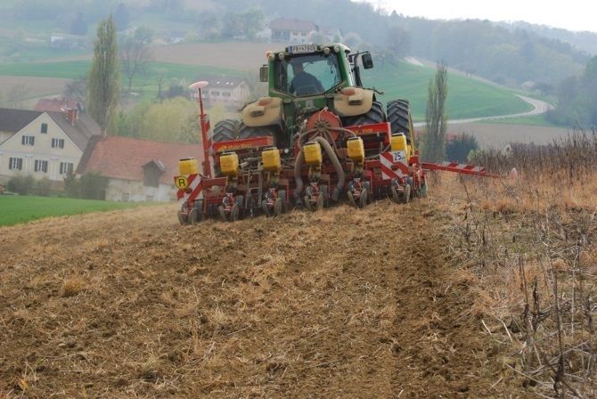 Hier werden gleich zwei Erosionsschutzmaßnahmen erfüllt: Anbau quer zum Hang sowie Mulchsaat © LK-Steiermark/Neubauer Hier werden gleich zwei Erosionsschutzmaßnahmen erfüllt: Anbau quer zum Hang sowie Mulchsaat © LK-Steiermark/Neubauer