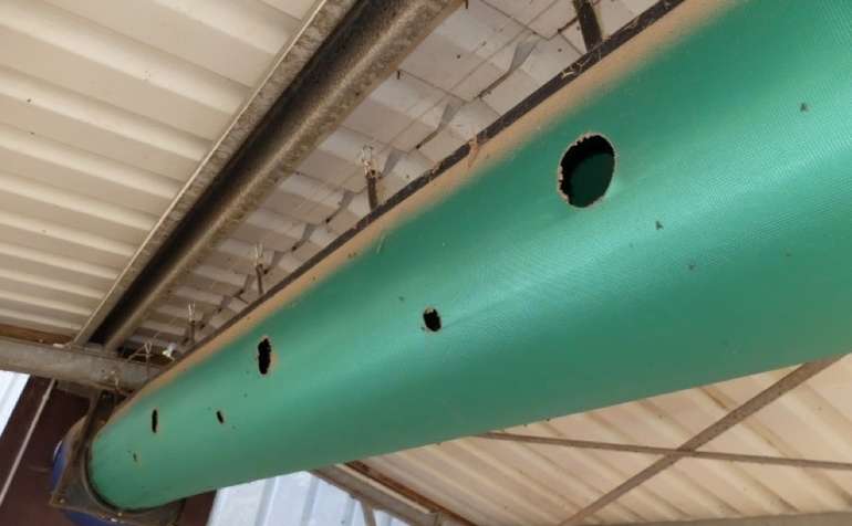 TUBES können zum Beispiel im Wartebereich zu einer gezielten Abkühlung der Kühe und somit zu einer Verbesserung des Klimas führen. © Pelzer TUBES können zum Beispiel im Wartebereich zu einer gezielten Abkühlung der Kühe und somit zu einer Verbesserung des Klimas führen. © Pelzer