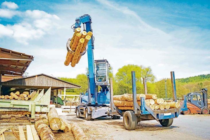 Preisrücknahmen beim Rundholz werden mit hohen Mengen an Schadholz begründet. © Countrypixel/stock.adobe.com Preisrücknahmen beim Rundholz werden mit hohen Mengen an Schadholz begründet. © Countrypixel/stock.adobe.com
