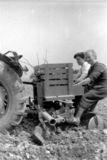 Erdäpfel setzen rund um 1960 © LK Steiermark