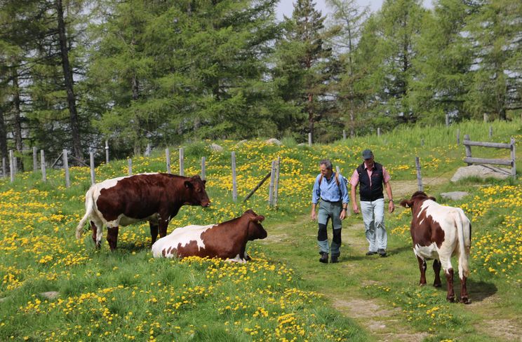 Wer sich in der Natur bewegt, muss ein hohes Maß an Eigenverantwortung an den Tag legen. © LK Kärnten/Pesentheiner