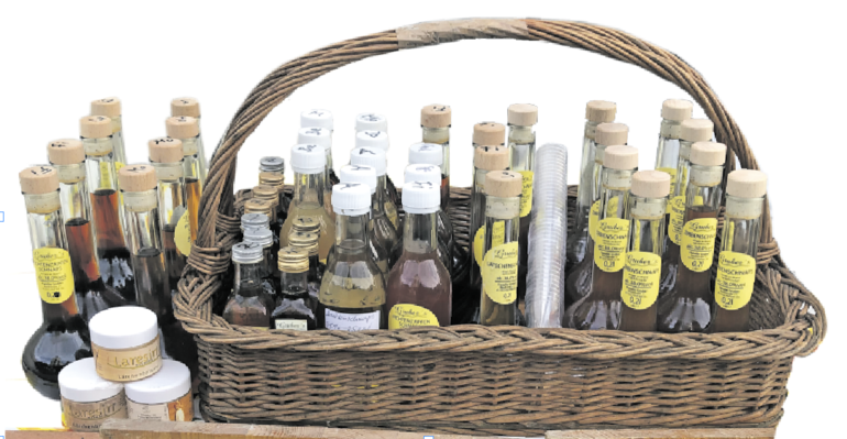 Essigsorten,
Lärchenpechsalbe, Zirmsirup, Fichtenzapfenschnaps, Latschen-Fichtensirup, Arnikaschnaps, Rosskastanientinktu © Sabine Wieder Essigsorten,
Lärchenpechsalbe, Zirmsirup, Fichtenzapfenschnaps, Latschen-Fichtensirup, Arnikaschnaps, Rosskastanientinktu © Sabine Wieder