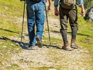 Beim_Wandern.jpg © Bilderbox Beim_Wandern.jpg © Bilderbox
