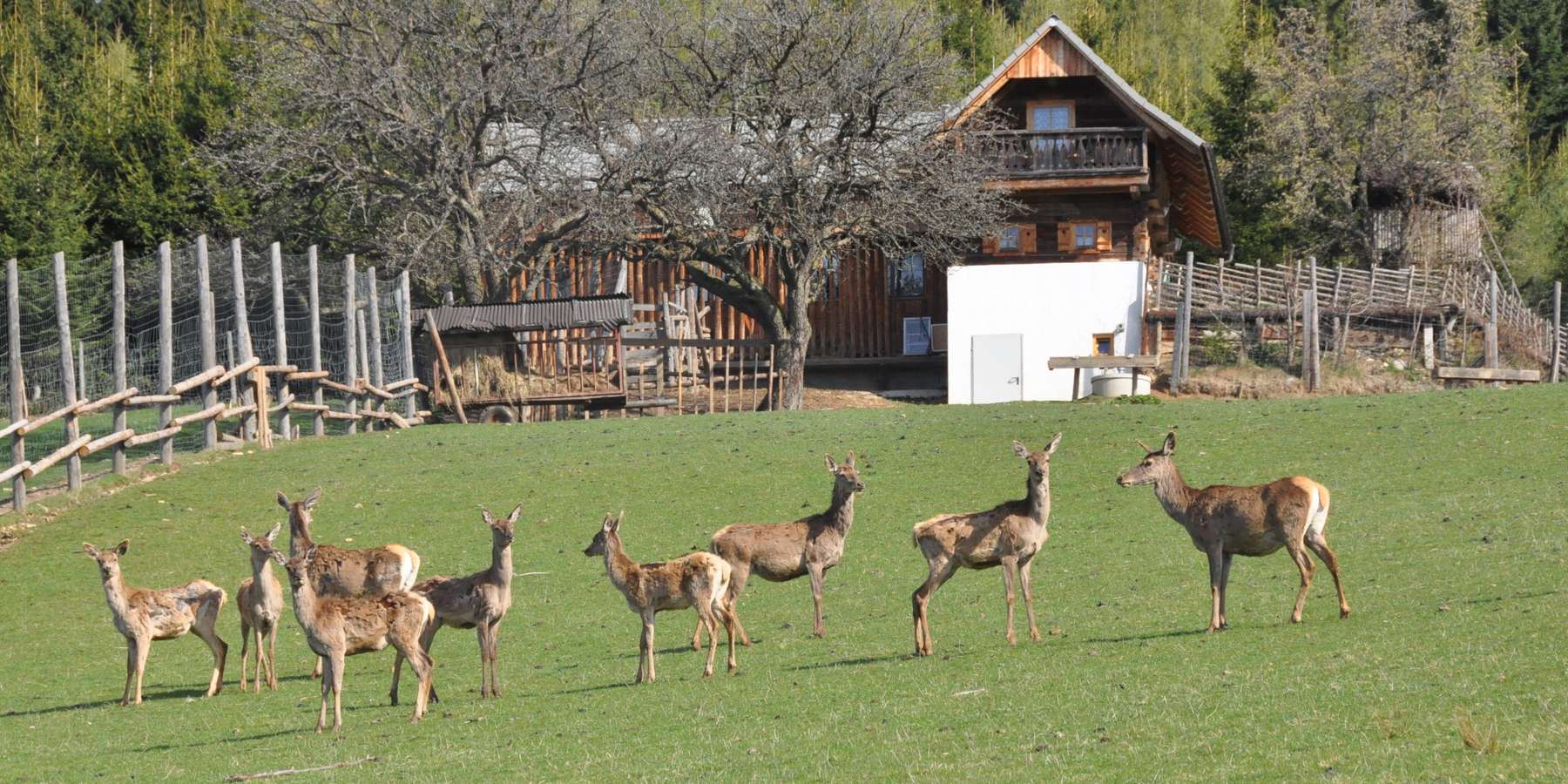 Farmwild.jpg © LK-Grabner