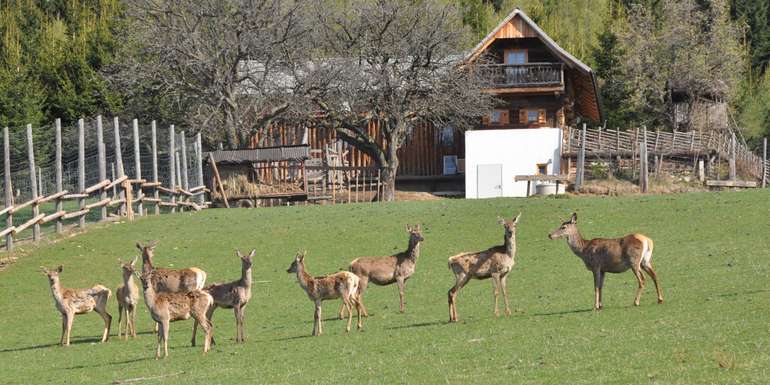 Farmwild.jpg © LK-Grabner