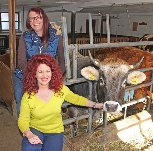 Anita Knar-Lassacher und Karoline Spitzer (die Tochter der Bauersleute) mit "Lilly" im Stall von Maria und Albert Löcker, Laimbacher in Ramingstein. Im Sommer geht‘s wieder hinauf auf die Karneralm. © LK Salzburg/Widmoser Anita Knar-Lassacher und Karoline Spitzer (die Tochter der Bauersleute) mit "Lilly" im Stall von Maria und Albert Löcker, Laimbacher in Ramingstein. Im Sommer geht‘s wieder hinauf auf die Karneralm. © LK Salzburg/Widmoser