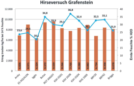 Wie das Grafensteiner Versuchergebnis aus 2014 zeigt, kann der Körnerhirseertrag durchaus mit Winterweizen mithalten. © LK Kärnten/Pflanzenbau Wie das Grafensteiner Versuchergebnis aus 2014 zeigt, kann der Körnerhirseertrag durchaus mit Winterweizen mithalten. © LK Kärnten/Pflanzenbau