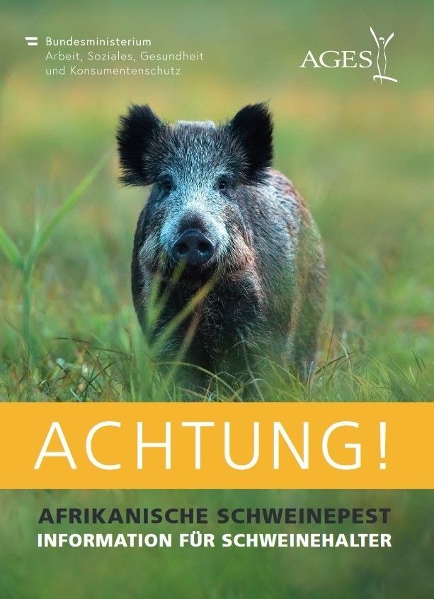 Folder Afrikanische Schweinepest © AGES