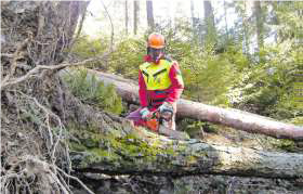 Forstarbeiten sind schwer und gefährlich. Mit dem forstlichen Notfallplan soll raschere Hilfe möglich sein. © Johannes Kröpfl