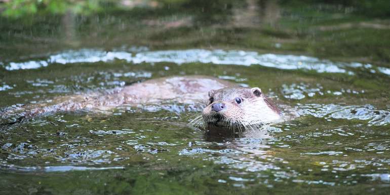 © Florian Kainz_Archiv Aqua