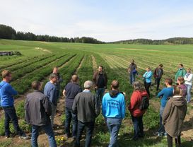 Viele interessante Betriebe können bei den Bio-Sommerexkursionen besichtigt werden. © LK OÖ/Joachim Mandl Viele interessante Betriebe können bei den Bio-Sommerexkursionen besichtigt werden. © LK OÖ/Joachim Mandl