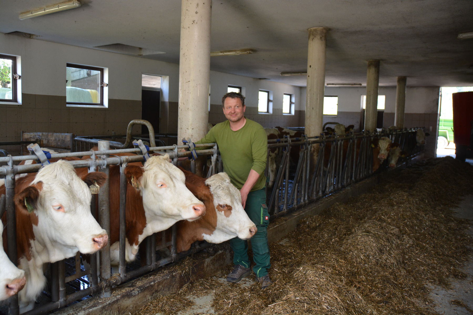 Für die Nachzucht wurde an den alten Stall dazugebaut. Die Milchkühe befinden sich im umgebauten alten Gebäude. © Kirfel