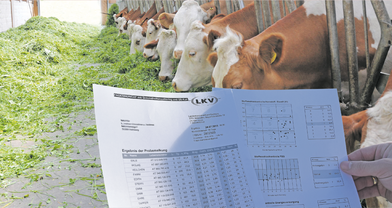 Die LKV-Tagesberichte geben einen schnellen Überblick über die Stoffwechselsituation der Herde. © Lindner