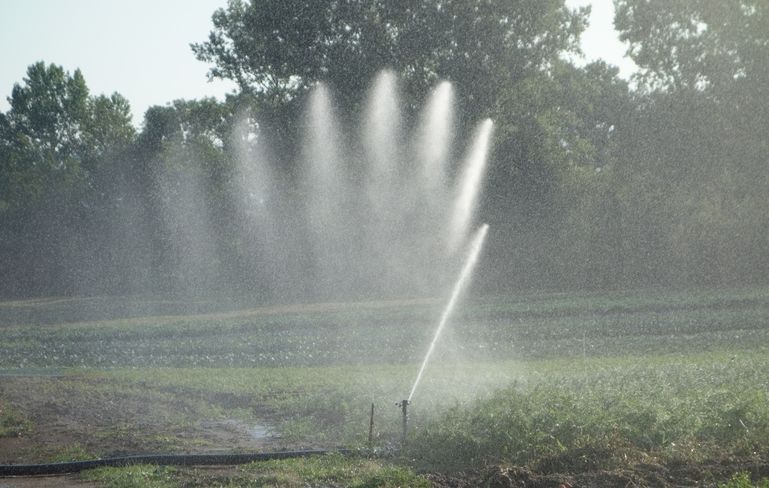 Die landwirtschaftliche Bewässerung ist wasserrechtlich bewilligungspflichtig. © LK OÖ/Zaussinger