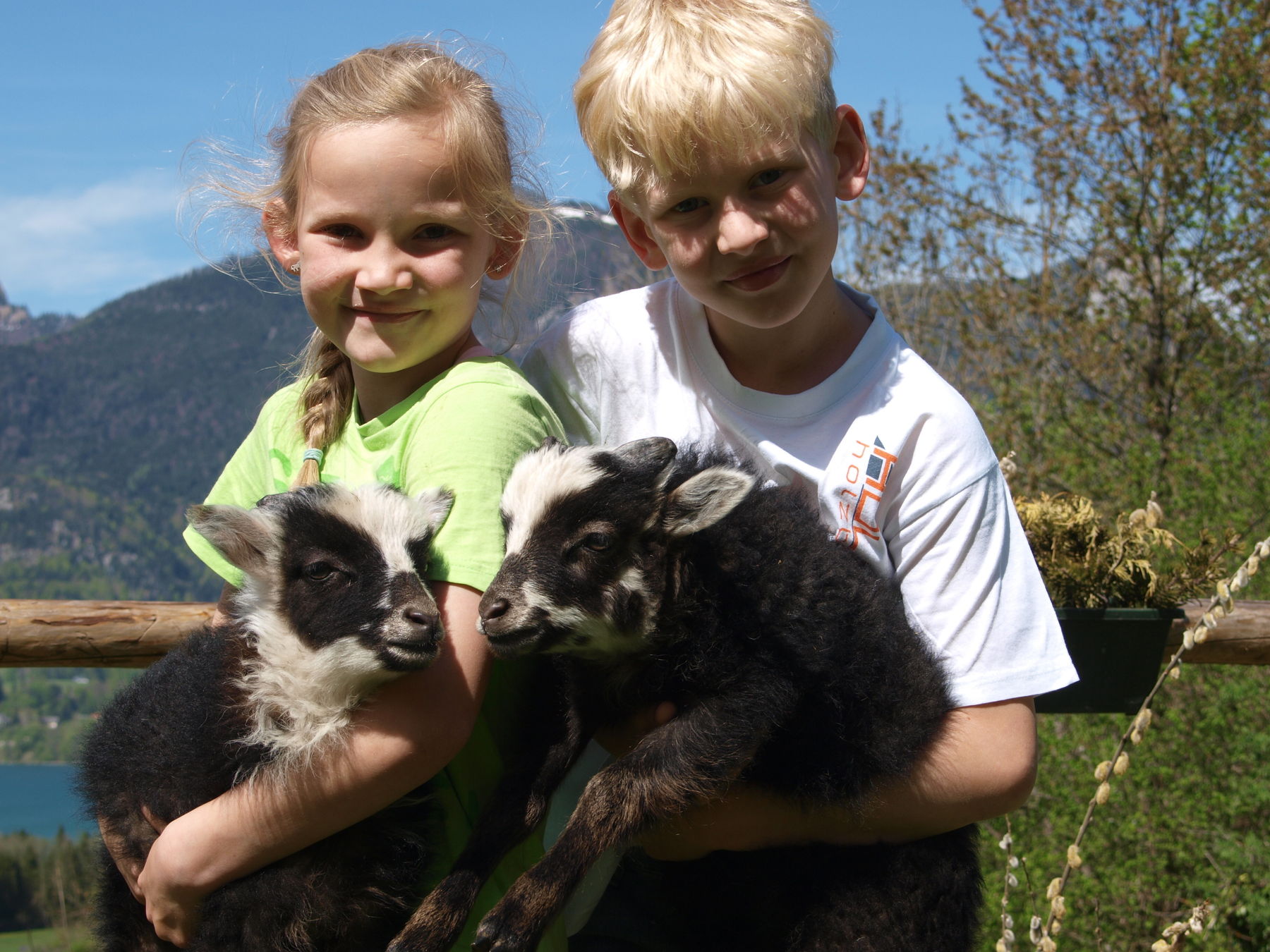 © Salzburger Bauer/Sabine Kurz © Salzburger Bauer/Sabine Kurz
