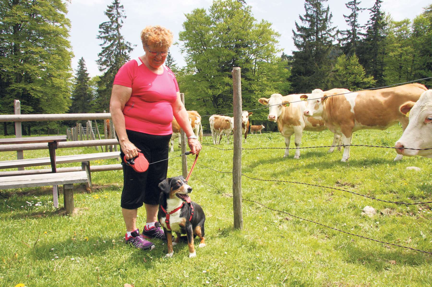 Wandern mit Hund © Paula Pöchlauer-Kozel/LK Niederösterreich
