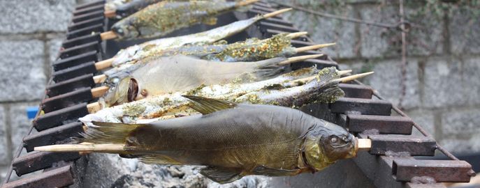 Fische_Head_Verarbeitung_Schleie_gegrillt © Eva Kirchmaier/Archiv Aqua