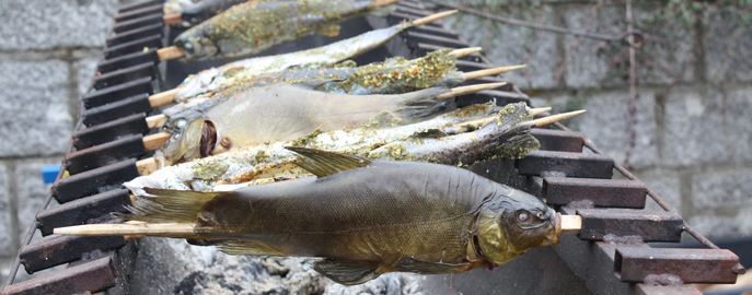 Fische_Head_Verarbeitung_Schleie_gegrillt © Eva Kirchmaier/Archiv Aqua