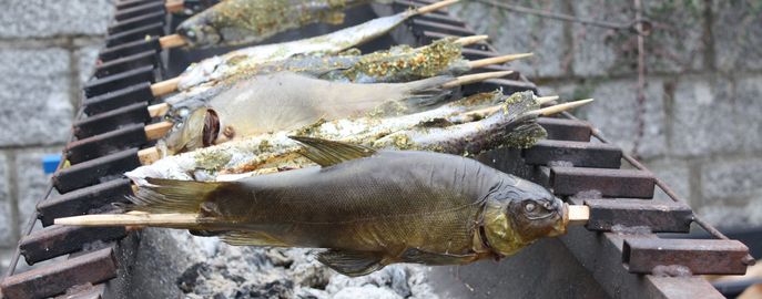 Fische_Head_Verarbeitung_Schleie_gegrillt © Eva Kirchmaier/Archiv Aqua