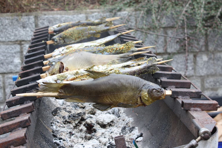 Fische_Head_Verarbeitung_Schleie_gegrillt.jpg © Eva Kirchmaier/Archiv Aqua