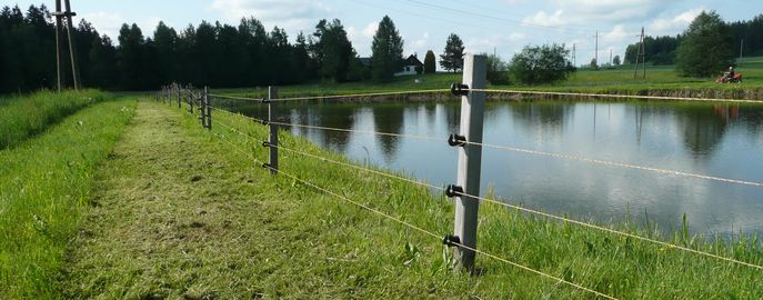 Fische_Head_Förderung_Teicheinzäunung © Günther Gratzl/Archiv Aqua Fische_Head_Förderung_Teicheinzäunung © Günther Gratzl/Archiv Aqua