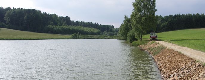 Fische_Head_Förderung_Ufersanierung © Günther Gratzl/Archiv Aqua