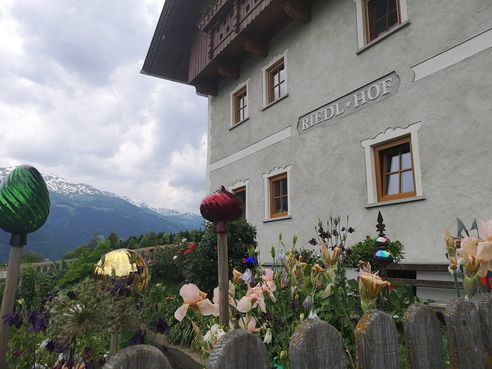 Bezirksbesuch Landeck am Oberplonighof in Nikolsdorf  und am Riedlhof in Lienz  © LK Tirol