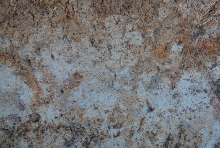 Im Boden ist Eisen für eine rötliche und bläuliche Färbung verantwortlich. Mangan für eine graue. © LK OÖ/Zaussinger