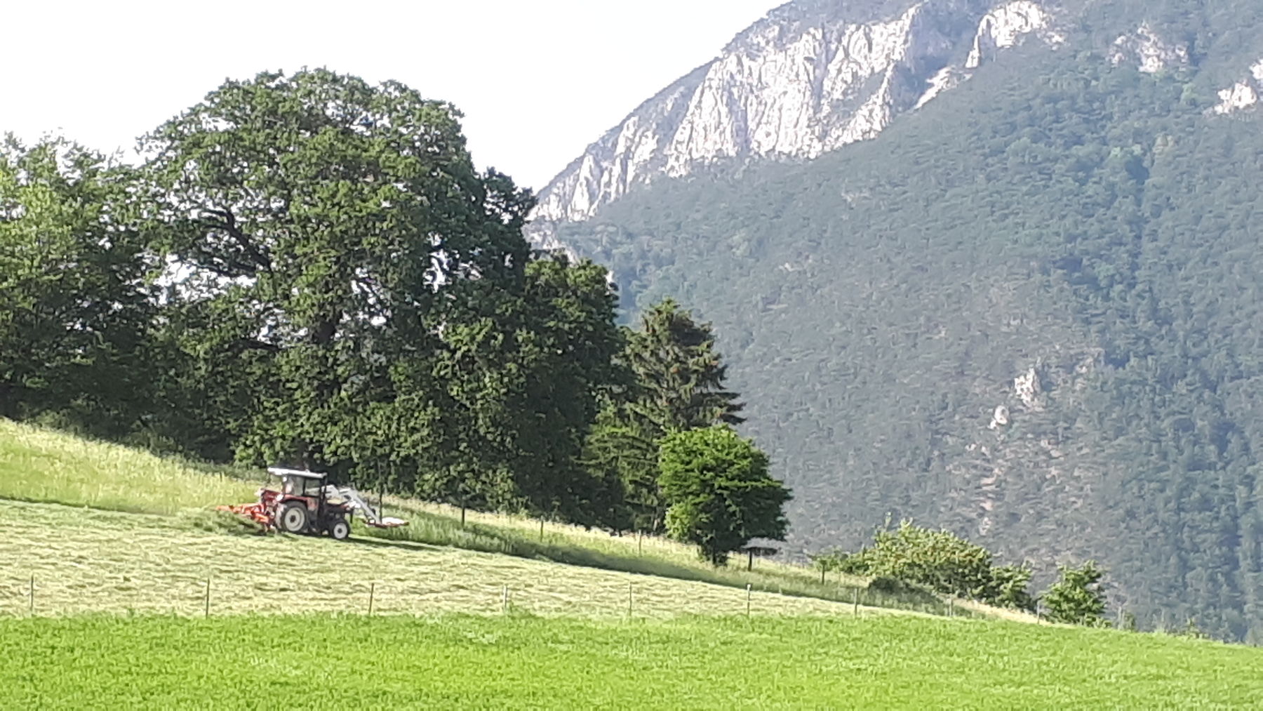 © DI Martin Weihs © DI Martin Weihs