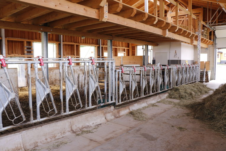 Das Fressgitter wurde in zwei Größen eingerichtet. Über den Balkon kann die Liegefläche von oben eingestreut werden. © Kronreif