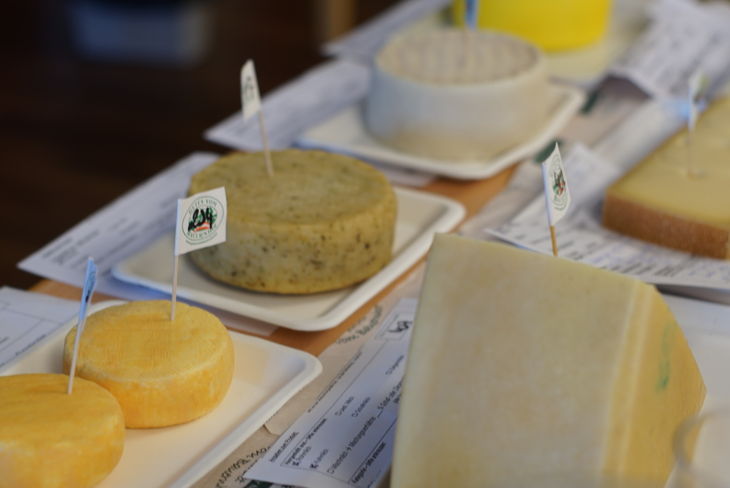 Die Jogurt-, Butter- und Käseprämierung fand bereits zum neunten Mal statt. © LK Kärnten/Lebenswirtschaft Die Jogurt-, Butter- und Käseprämierung fand bereits zum neunten Mal statt. © LK Kärnten/Lebenswirtschaft