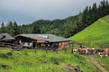 Die Wastlalm in Rauris spiegelt mit ihrer über 300 Jahre alten Hütte und der liebevollen Bewirtschaftung die Pinzgauer Almkultur wider. Das idyllische Almplatzerl muss man einfach gesehen haben. © Mooslechner
