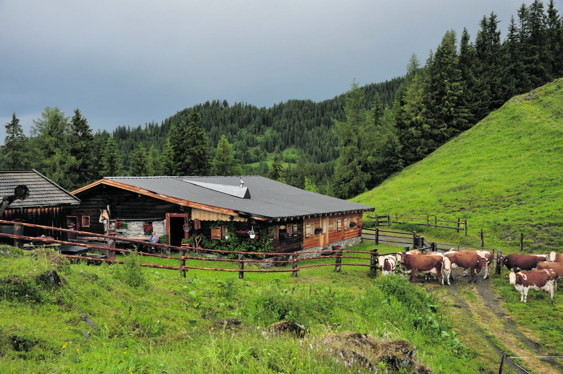 Die Wastlalm in Rauris spiegelt mit ihrer über 300 Jahre alten Hütte und der liebevollen Bewirtschaftung die Pinzgauer Almkultur wider. Das idyllische Almplatzerl muss man einfach gesehen haben. © Mooslechner