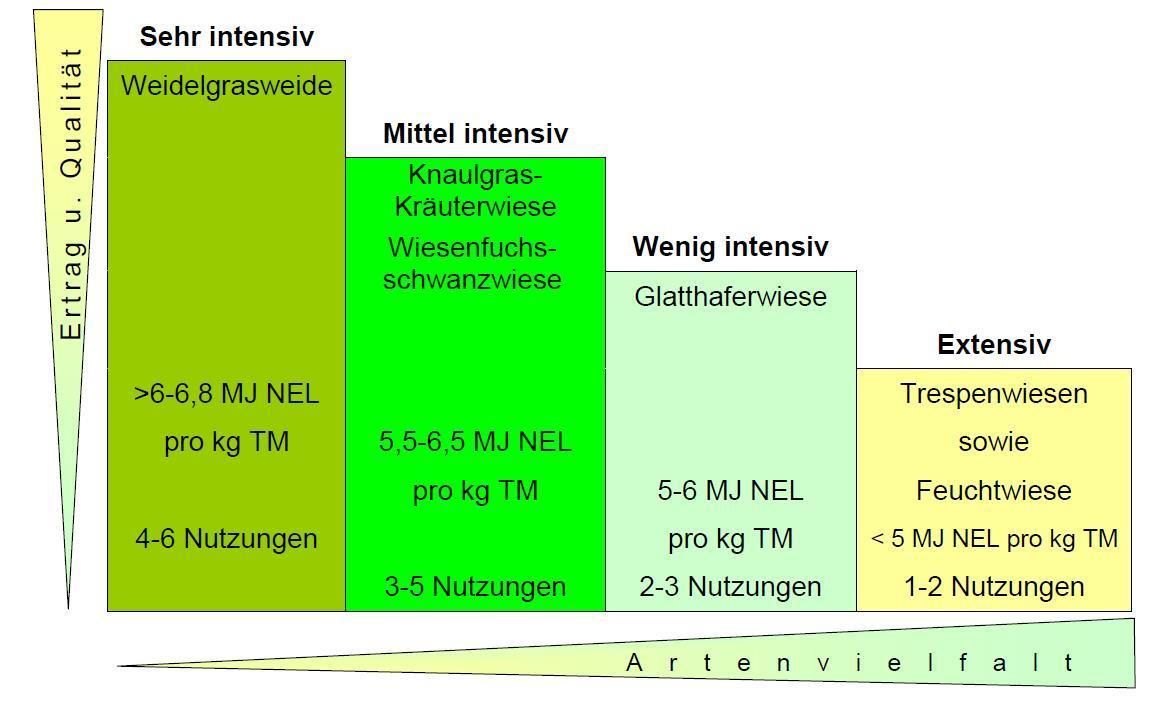 Die Artenvielfalt ist auf extensiven Flächen tendenziell höher als auf den intensivierten Flächen, die beim "Abgestuften Wiesenbau" für Qualität und Ertrag unverzichtbar sind. © Archiv