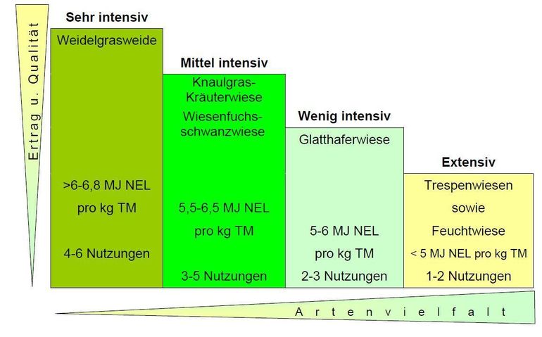 Die Artenvielfalt ist auf extensiven Flächen tendenziell höher als auf den intensivierten Flächen, die beim "Abgestuften Wiesenbau" für Qualität und Ertrag unverzichtbar sind. © Archiv