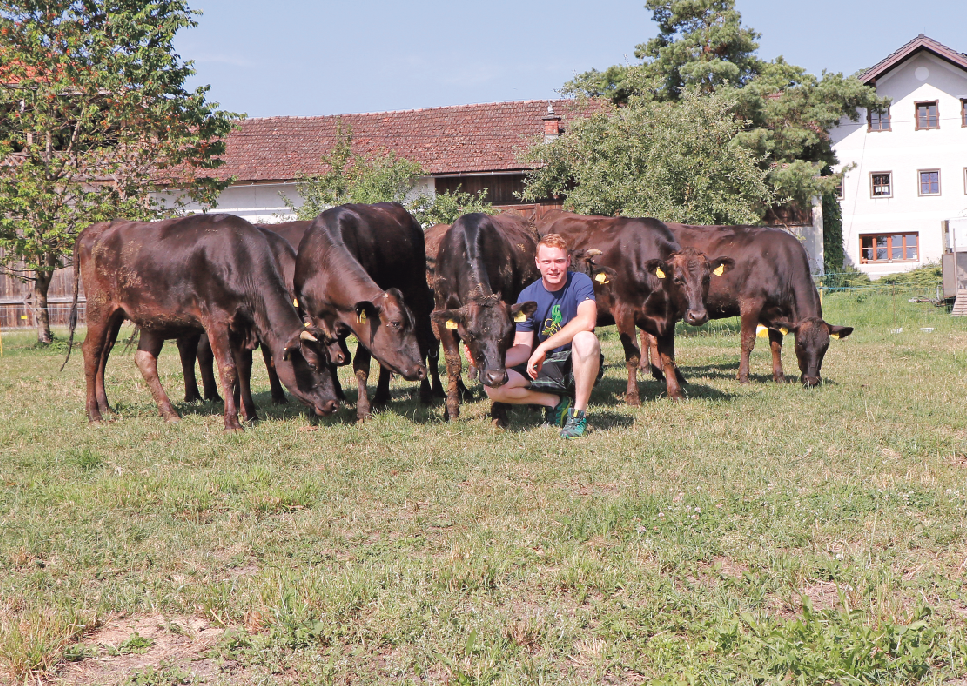 Der Moosdorfer ist von der einzigartigen Fleischqualität des Wagyu-Rindes überzeugt. © Kronreif