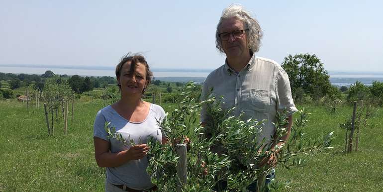 Franz Günther  und Sabine Haider mit ihren Olivenbäumen in Mörbisch © Franz GÜNTHER